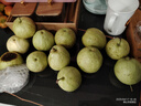 金百粟 百香果云南欽蜜9號(hào)黃金百香果新鮮水果當(dāng)季純甜百香果原漿 欽蜜9號(hào)凈重5斤 單果60-70g 曬單實(shí)拍圖