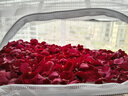 柴門莊園當日精選云南新鮮食用墨紅玫瑰花苞1200g生鮮蔬菜 曬單實拍圖