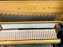 Yamaha雅馬哈日本原裝進(jìn)口二手鋼琴學(xué)習(xí)家用 U1H U2H U3H立式專業(yè)考級舞臺演奏鋼琴9成新 U1H【200萬號 經(jīng)典傳承 考試初學(xué)】 曬單實(shí)拍圖