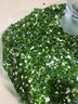 FEST切蔥花機切菜機商用小米辣大蔥切圈神器切蔥花 蔬菜豆角韭菜切段 土豆胡蘿卜切片機 RC-F22不銹鋼旗艦款 可連續(xù)工作2小時 曬單實拍圖