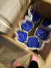 荷蘭牛欄奶粉諾優(yōu)能嬰幼兒牛奶粉 官方授權 免費試用 原裝進口罐裝經(jīng)典版 荷蘭牛欄5段800g 單罐裝【咨詢客服送大額券】 曬單實拍圖