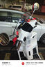 嘉鵬嘉陵工業(yè)布加迪賽戈125cc摩托車燃油踏板國四電噴復(fù)古整車可上牌 二代賽戈經(jīng)典白（送尾箱） 曬單實拍圖