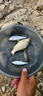 老G黃尾G窩料尾巴餌料黑坑刺客野釣殺手釣魚(yú)添加劑誘魚(yú)顆粒 黃尾顆粒800克三包 曬單實(shí)拍圖
