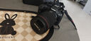 佳能 EOSR5 R5一代 R5二代 全畫(huà)幅r5微單相機 Vlog相機8K視頻拍攝 R5+RF24-105mm F4 L IS USM 官方標配 曬單實(shí)拍圖