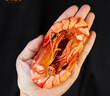蝶島海歌即食特大九節蝦干斑節蝦干對蝦干烤蝦干風(fēng)干蝦海鮮海產(chǎn)干貨2428型 特大九節蝦干 250g(到手12-14只) 曬單實(shí)拍圖