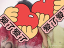 俞兆林白色打底衫女內(nèi)搭半高領(lǐng)毛衣木耳邊針織衫打底春季上衣 曬單實拍圖