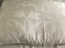 枕水人家 真絲枕芯填充100%桑蠶絲安睡舒適枕頭套頸椎枕單人枕星級酒店 桑蠶絲2斤 單只 枕芯（16姆米） 中枕 14cm 尺寸48*74cm 曬單實(shí)拍圖