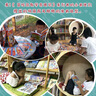 冒險島數學奇遇記36-40 ：數學啟蒙書 7-14歲小學生 一二三四五六年級數學閱讀 涵蓋人教版小學數學知識點漫畫故事書   曬單實拍圖