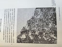 武梁祠:中國古代畫(huà)像藝術(shù)的思想性 巫鴻 三聯(lián)書(shū)店 曬單實(shí)拍圖
