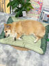 SMVP狗窩狗狗睡墊狗墊子四季小中大型犬貓窩寵物夏季防水耐咬可拆洗 L-55*75cm【適合25斤內寵物】 四季通用 加高護頸 隔濕防尿 【豆綠】耐抓耐咬不粘毛 曬單實(shí)拍圖