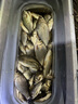 猛攻狂刃輕量小綜合釣魚(yú)竿手竿野釣臺釣竿手桿超輕硬魚(yú)竿7.2m全涂版 曬單實(shí)拍圖