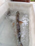 YGK PE JP 5鉤串鉤防纏繞釣組大物鯽魚(yú)昂刺翹嘴通殺伊勢尼拋竿海竿魚(yú)鉤套裝 伊勢尼【橙盒5鉤】50克鉛 各五個(gè) 10 曬單實(shí)拍圖