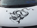 子浩汽車(chē)身龍圖騰全車(chē)貼個(gè)性動(dòng)感車(chē)身拉花龍飛舞貼紙引擎蓋貼紙 黑加紅全套 曬單實(shí)拍圖