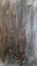 龍味福江蘇新鮮冷凍大號(hào)三去魷魚須 魷魚爪生鮮火鍋燒烤食材 魷魚須 2斤(凈重)  【固形物75%】 曬單實(shí)拍圖