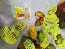 三萌果蔬芒果 新鮮貴妃芒水果海南當季水果爆甜多汁芒果水仙貴妃 9斤精選裝【單果60g+】?jì)糁?斤 曬單實(shí)拍圖