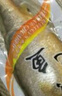 品鮮貓 深?；顑龃簏S花魚(yú) 凈重500g/條 海鮮水產(chǎn)大黃魚(yú) 曬單實(shí)拍圖