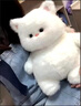 微光里2025新款毛絨玩具公仔白色貓咪玩偶可愛(ài)軟萌貓咪送女生日禮物 白色貓咪玩偶【45cm】 曬單實(shí)拍圖