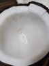 蔬果哆 新鮮水果 海南特產(chǎn) 新鮮椰子 椰皇 老椰子 單個(gè)約750g 三個(gè)裝 曬單實(shí)拍圖