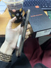 MLLED全新原裝P70Pro智能手機5G全網(wǎng)通16G+1TB大內(nèi)存雙卡雙待游戲手機 魅影黑【正品P70pro全新未拆封】 16G運行+1024G內(nèi)存 套餐一【手機全套+藍牙耳機】 曬單實拍圖