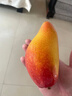 正宗海南貴妃芒9斤新鮮芒果當季大紅金玉青辣椒芒金煌芒臺農整箱L 5斤中果【果農直發(fā)】 曬單實(shí)拍圖