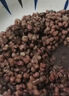 薏米赤小豆五谷雜糧熬粥組合原材料薏仁米薏苡仁紅小豆煮水煲湯喝 【經(jīng)典搭配】生薏米250g+赤小豆250g 曬單實(shí)拍圖