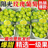 閩農(nóng)語果陽光玫瑰葡萄新鮮晴王無籽香印提子當季新鮮水果整箱送禮綠葡萄 凈重3斤 優(yōu)選果【單果8-10g】 團購/售后詳詢客服 曬單實拍圖