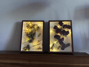 OEIN成品中空相框干花永生花花束生日禮物母親節(jié)教師節(jié)伴手禮手工擺件 真愛玫瑰加滿天星+8寸胡桃木色 送燈串 禮品袋 賀卡（代寫賀卡） 曬單實拍圖