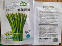 四季種植蘆筍種子蔬菜種子進(jìn)口綠蘆筍種籽抗熱耐寒高營(yíng)養(yǎng)春秋種植 標(biāo)準(zhǔn) 剛到新種6包約300粒 曬單實(shí)拍圖