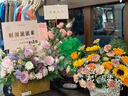 TICIFY八方來財金蟾白菜擺件客廳酒柜前臺聚財裝飾品店鋪開業(yè)禮物 八方來財翠玉色 曬單實拍圖