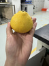 感光之水正宗寧波象山青柑橘  順豐禮盒春香柚 當季黃金貢柚純甜無(wú)酸現摘 人工精選10斤大果 曬單實(shí)拍圖