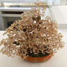 IKXO天然紅玉髓水晶招財(cái)發(fā)財(cái)樹家居客廳玄關(guān)酒柜辦公室喬遷開業(yè)送禮品 黃水晶有字盆【高寬40*40厘米】 曬單實(shí)拍圖