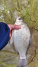小鳳仙鰱鳙浮漂大物專(zhuān)攻魚(yú)漂夜光漂咬鉤變色醒目大加粗鯽魚(yú)漂日夜兩用漂 L-DD06 青草翹鳊鰱鳙 吃鉛約8.0g 日夜兩用(咬鉤變色1支裝) 曬單實(shí)拍圖