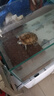 柏卡樂周轉箱過濾箱魚缸魚池過濾器滴流盒上置過濾器增氧培菌凈水濾桶 加高小號3層+基礎過濾+水泵 曬單實拍圖