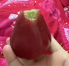 優(yōu)味集【JD順豐】黑金剛蓮霧水果節日送禮新鮮熱帶脆霧蓮孕婦生鮮果 500g 金選5S果（單果75-100g） 曬單實(shí)拍圖