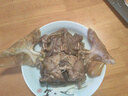 麻辣五香口味鹵甲魚(yú)老鱉團(tuán)魚(yú)王八鮮活現(xiàn)做甲魚(yú)預(yù)制菜即食甲魚(yú)肉 400g-五香味 曬單實(shí)拍圖