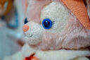 SAMYANG三陽森養(yǎng) AF 35-150mm F2-2.8 FE全幅視頻全能遠攝變焦鏡頭35150 索尼E卡口標配 定金 曬單實拍圖