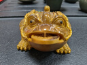 摩范變色茶寵擺件金蟾蟾蜍可養(yǎng)寵物茶臺(tái)茶桌茶盤茶玩精品茶道茶具配件 變色金蟾 曬單實(shí)拍圖