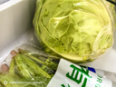 聽蔬有機(jī)綠甘藍(lán)1斤 圓白菜洋卷心菜 有機(jī)認(rèn)證蔬菜無農(nóng)殘?jiān)欣嫌咨r菜 1斤左右 曬單實(shí)拍圖