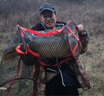 沃鼎魚護野釣黑坑加厚速干漁護網(wǎng)兜便攜折疊新款高端加粗鋁合金圈口 40cm 3m 藍 曬單實拍圖
