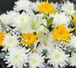 花與千尋鮮花速遞清明節(jié)菊花喪禮鮮花祭奠祭祀追悼全國(guó)同城配送花店送花 19朵菊花百合混搭 曬單實(shí)拍圖