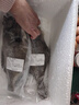 朵芙深海鰈魚(yú)600-800g/條鰈魚(yú)整條新鮮超大比目魚(yú)鴉片魚(yú)生鮮魚(yú)類(lèi) 【冷鏈速達】整條鰈魚(yú) 600g *4條 曬單實(shí)拍圖
