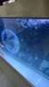森森（SUNSUN）大型魚缸底過(guò)濾水族箱客廳家用落地玻璃生態(tài)金魚缸 【實(shí)時(shí)溫顯+燈控】寶馬灰 1.5米長(zhǎng)35cm寬 曬單實(shí)拍圖