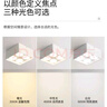 雷士照明LED明裝筒燈家用斗膽燈網(wǎng)紅方形過道燈雙頭格柵燈全鋁吸頂聚光燈 【白色四頭RA98】35W記憶三色 曬單實(shí)拍圖
