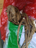 當歸個(gè)甘肅岷縣中藥材甜黨歸整只商用燉湯香料當歸 當歸大條250克 曬單實(shí)拍圖