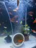 漁鄰納米氣盤(pán)魚(yú)缸氧氣泵氣泡石超靜音養魚(yú)增氧機低壓空氣細化器爆氣盤(pán) （耐贓款）納米氣盤(pán)5cm+配件（不含氣泵） 曬單實(shí)拍圖