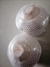 椰子海南椰青新鮮椰子水果文昌去皮青椰汁椰子雞整箱特產(chǎn) 新鮮裝 2個 曬單實拍圖