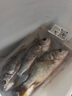 黃翅魚 黃立魚 黃墻黃蠟魚潮汕海鮮水產(chǎn)品黃腳立魚黃鰭鯛赤翅魚 3-4條1斤（去肚前500g）*2 曬單實(shí)拍圖