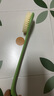 Creative art洗澡刷子搓背刷洗澡神器軟毛長(cháng)柄沐浴刷搓澡刷搓澡神器搓澡巾 【海豚款】牛油果綠 海豚搓澡刷 曬單實(shí)拍圖