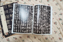中華經(jīng)典碑帖彩色放大本第二輯（布面精裝全20冊） 中華書局書法碑帖合集 中華書局自營正版 曬單實拍圖