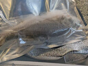 【有機淡水魚(yú)】生態(tài)河鮮 三去鮮活速凍 南都湖生鮮魚(yú)類(lèi)海鮮水產(chǎn) 【有機鱸魚(yú)】500g/袋 1袋【嘗鮮裝】 曬單實(shí)拍圖